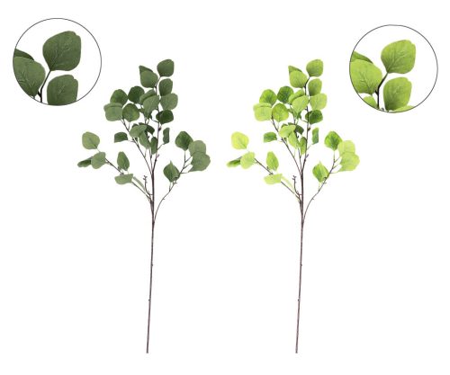 ÁG EUCALYPTUS ZÖLD    2S 90