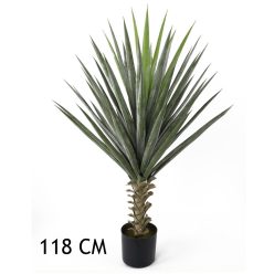 YUKKA ZÖLD            118CM